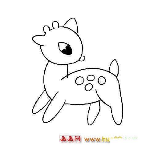 动物简笔画:可爱的小梅花鹿