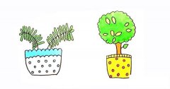 两盆漂亮的盆栽简笔画彩色画法