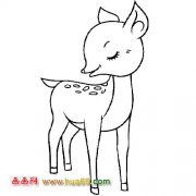 动物简笔画：开心的小梅花鹿