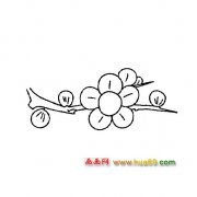 花卉简笔画：呼之欲出的梅花