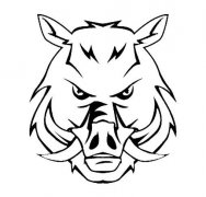 疣猪头怎么画,简笔画疣猪头的画法