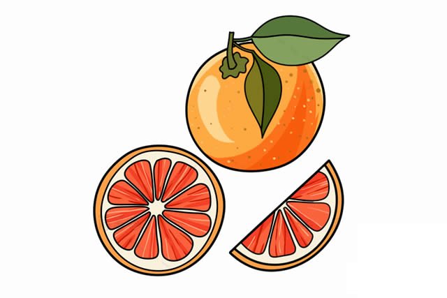 西柚简笔画步骤图解