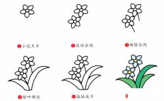 水仙花植物花简笔画步骤图片大全二