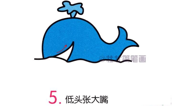 鲸鱼简笔画画法_怎么画鲸鱼的简笔画