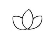 荷塘里的荷花简笔画图片