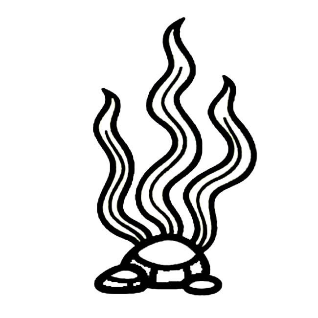 水草植物花简笔画步骤图片大全