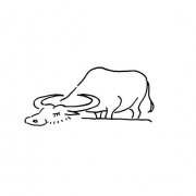 画一头水牛的简单画法