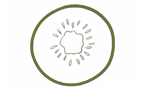 猕猴桃简笔画图片