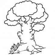 简单大榕树的画法手绘_大榕树简笔画图片