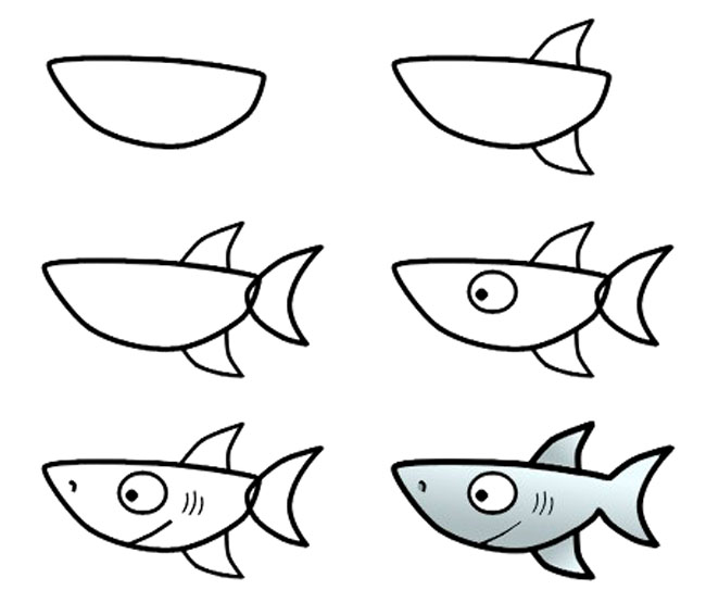 鲨鱼简笔画步骤图片大全