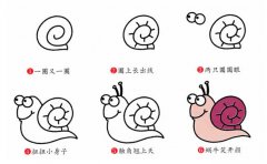 蜗牛简笔画步骤图片大全