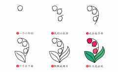 铃兰花简笔画步骤图片大全