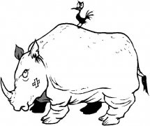 犀牛动物简笔画步骤图片大全二