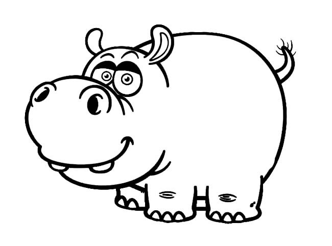 河马动物简笔画步骤图片大全二