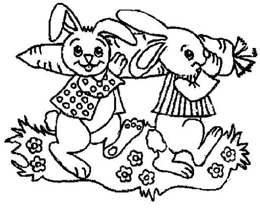 兔子吃萝卜简笔画2