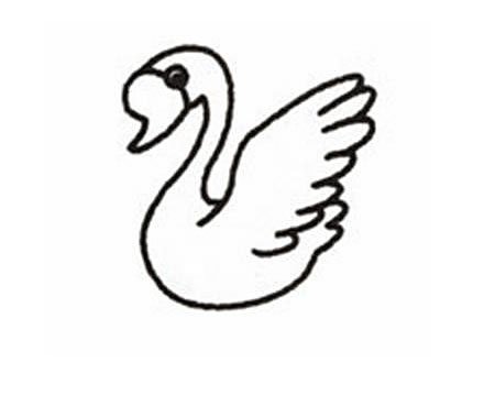 怎么画一只美丽的天鹅