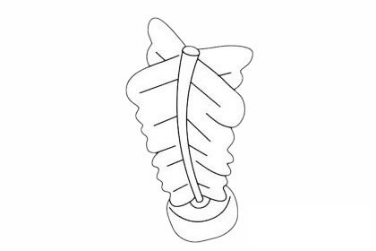 毽子简笔画图片大全作品二