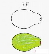 木瓜简笔画图片 木瓜怎么画图片