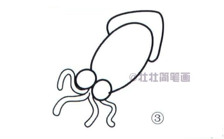 乌贼简笔画画法_怎么画乌贼的简笔画