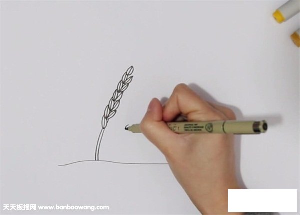 丰收的稻谷简笔画