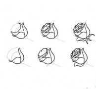 玫瑰花怎么画简笔画画法_怎么画玫瑰花