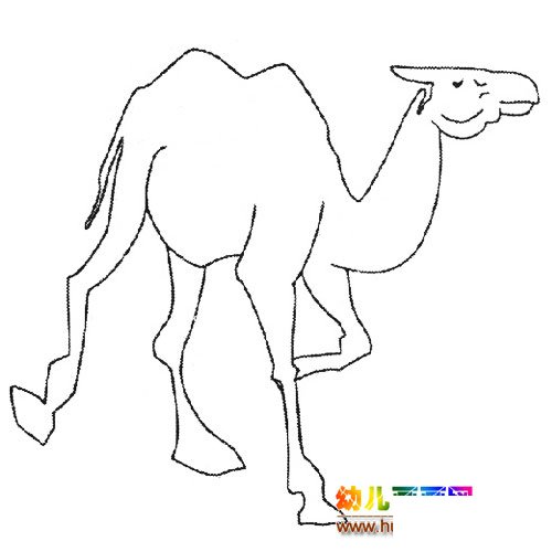 动物简笔画：散步的骆驼1