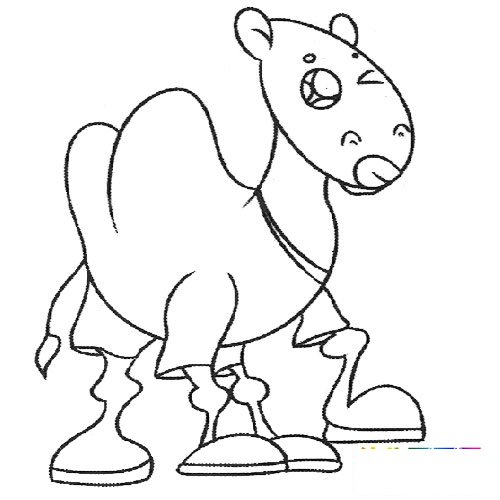 动物简笔画：很小的骆驼