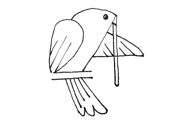 用数字画鸽子简笔画