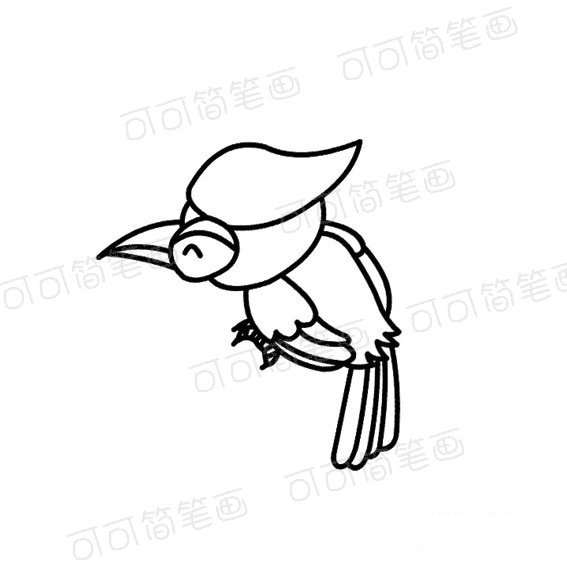 漂亮的鹦鹉简笔画法
