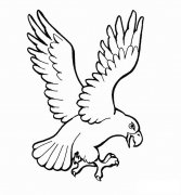 两款老鹰简笔画图片素材