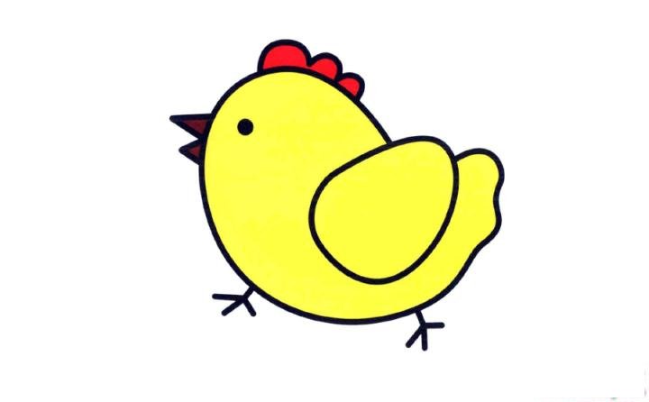 彩色简笔画母鸡的图片教程