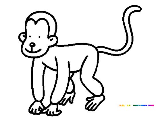 动物简笔画：调皮的小猴子6