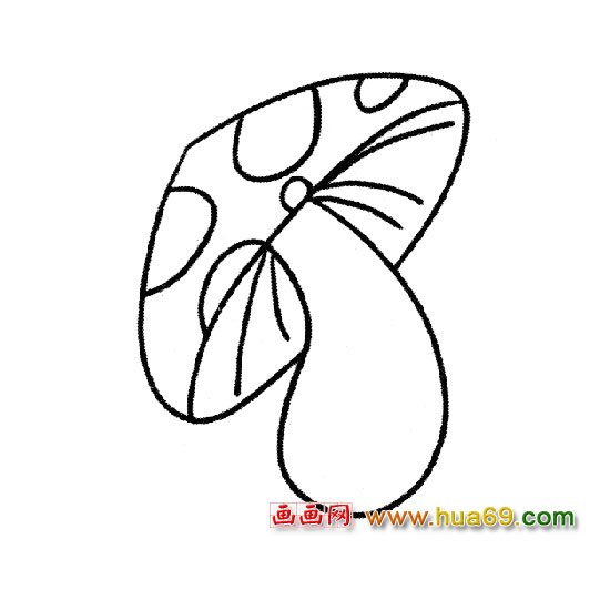 植物简笔画：松口蘑6