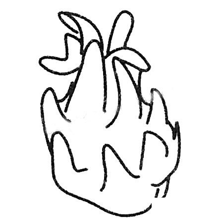 火龙果简笔画大全及画法步骤