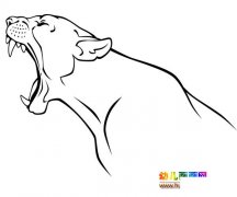 可怕的猎豹_儿童简笔画图片