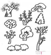 可爱小植物简笔画