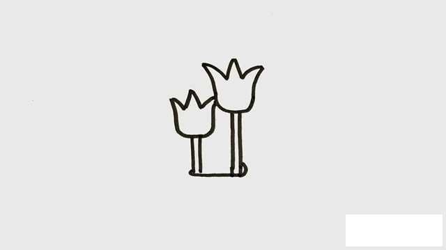 盆栽郁金香简笔画彩色画法步骤图片