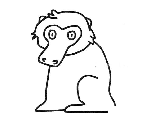 狒狒简笔画图片4