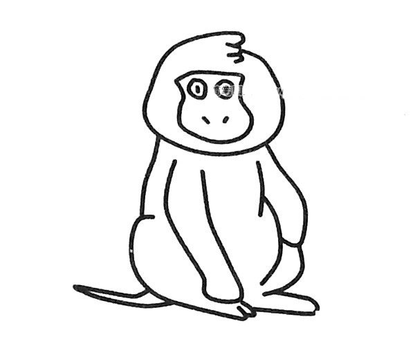 狒狒简笔画图片1