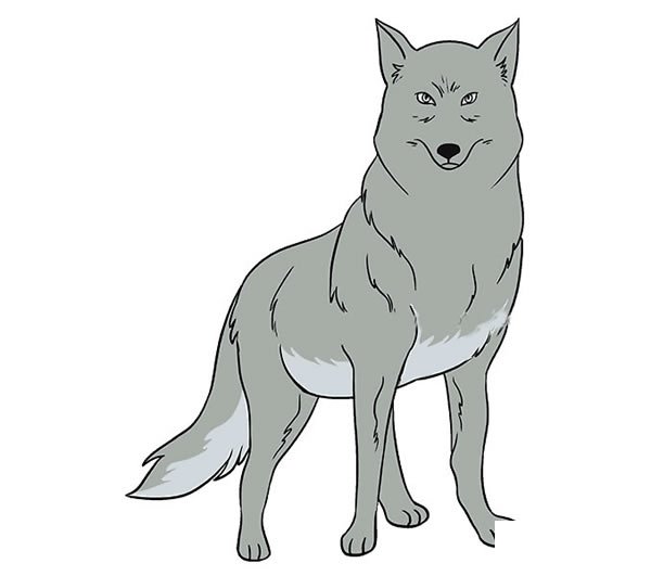 狼的笔画图片2