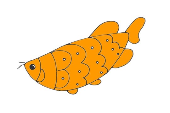 龙鱼简笔画图片大全作品五