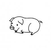 画一画一头可爱的小胖猪