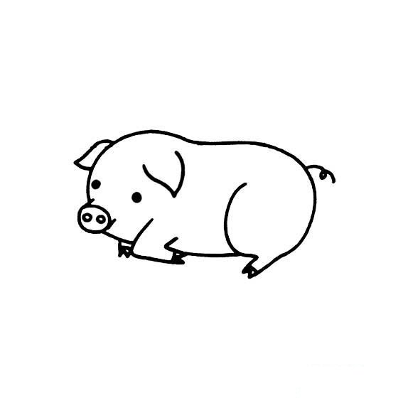 画一画一头可爱的小胖猪
