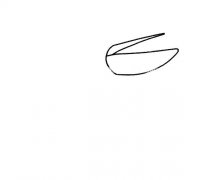 儿童学画鹈鹕简笔画步骤图解