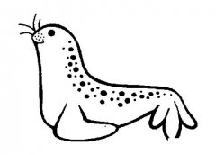 可爱的海豹简笔画图片