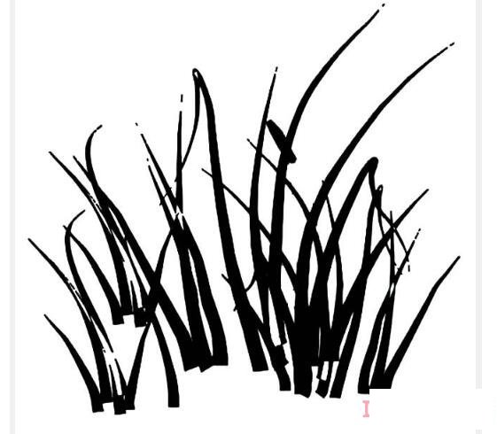 草丛的画法简笔画图片简单好看