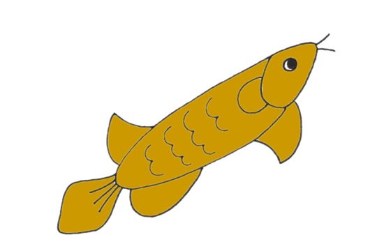 龙鱼简笔画图片大全作品二