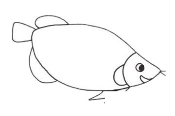 龙鱼简笔画图片