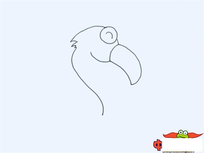 火烈鸟怎么画简笔画