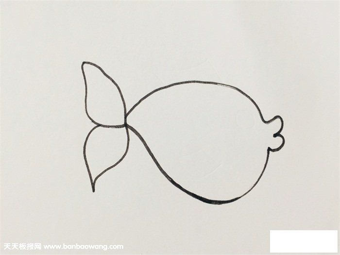 简单的小鱼怎么画